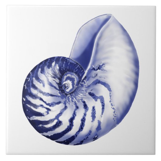 Blauw-witte nautilus shell keramische tegel tegeltje (Voorkant)