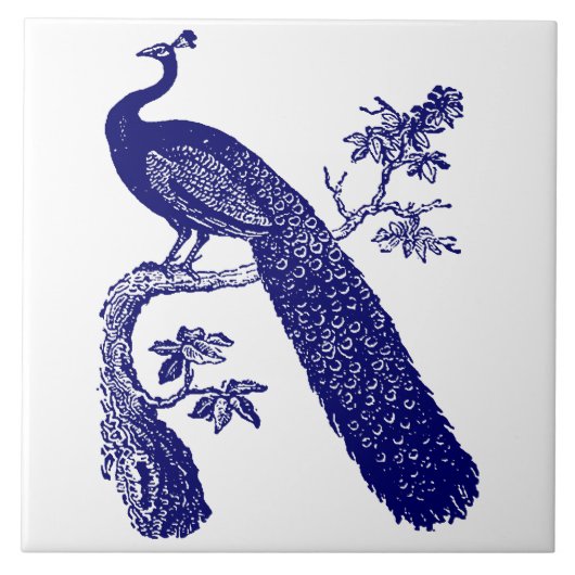 Blauw-witte pauw tegeltje (Voorkant)