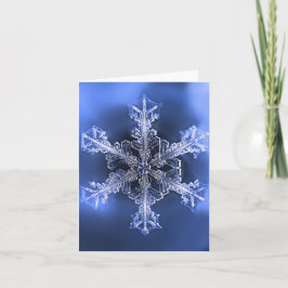 Blauw & Witte Winter Sneeuwvlok Vouwbare Wenskaart Kaart