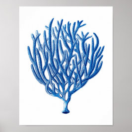 Blauw Zee koraal afdrukken #1 Beach House Wall Art Poster
