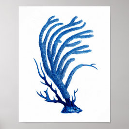 Blauw Zee koraal print #2 Kustmuur art decor