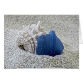 Blauw Zeeglas en Schelpen
