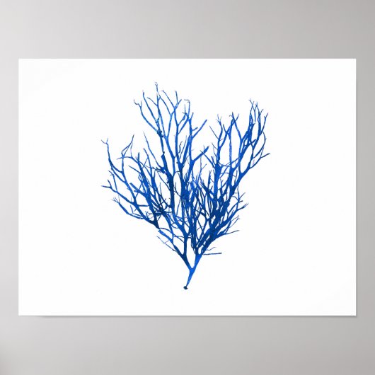 Blauw zeewier #10 42x32 cm poster (Voorkant)