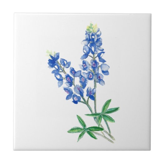 Blauwbeen 3 tegeltje (Voorkant)