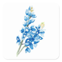 Blauwbeen 4