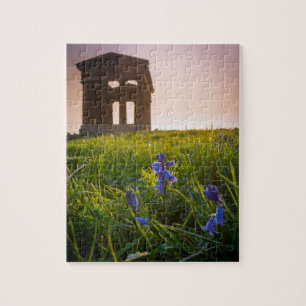 Blauwbellen op Penshaw Monument Jigzaag Puzzle Legpuzzel