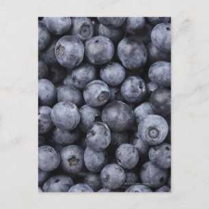 Blauwbes Briefkaart