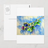 Blauwbes Briefkaart (Voorkant / Achterkant)