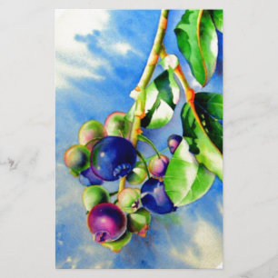 Blauwbes Briefpapier