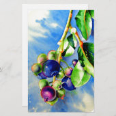 Blauwbes Briefpapier (Voorkant / Achterkant)