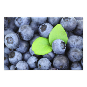 Blauwbes Foto Afdruk