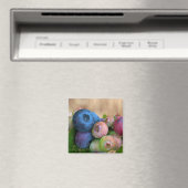 Blauwbes Magnet Magneet (Insitu (Vaatwasser))