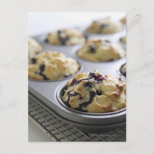 Blauwbes muffins in een baktin op een koeling briefkaart (Voorkant)