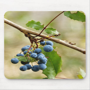 Blauwbes Muismatten