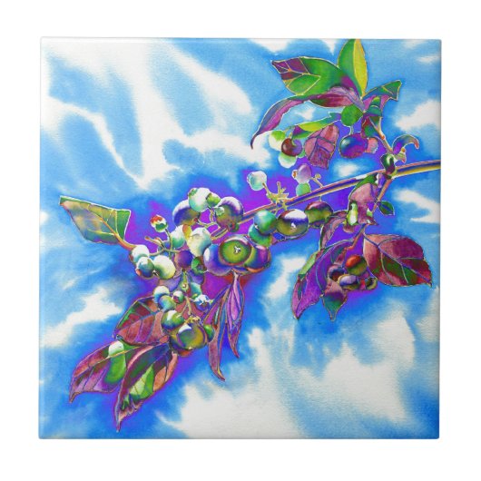 Blauwbes Solar Tegeltje (Voorkant)