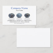 Blauwbes Visitekaartje (Voorkant / Achterkant)