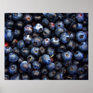 Blauwbessen Canvas Poster