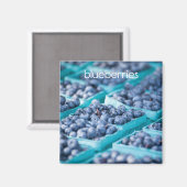 Blauwbessen Koelkast Magnet Magneet (Voorkant / Achterkant)