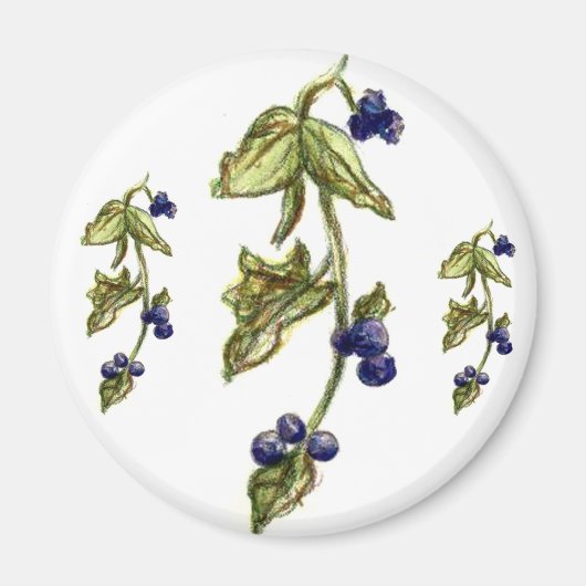 Blauwbessen op wijngaard magneet (Voorkant)