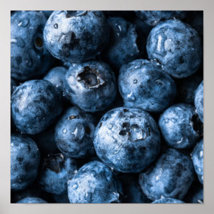 Blauwbessen Poster