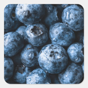 Blauwbessen Vierkante Sticker