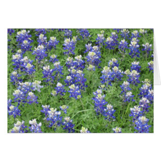 Blauwbijen in een veld