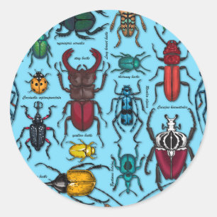 Blauwbijen Ronde Sticker