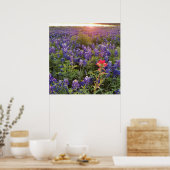 Blauwbijenkruid (Sunset Poster) Poster (Keuken)