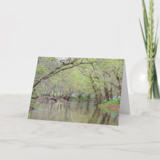 Blauwbijlen op de Creek - Natuur Wenskaart Kaart