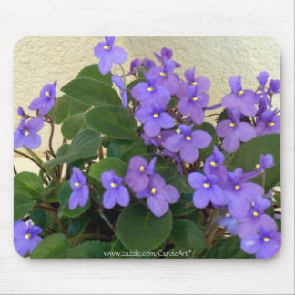 Blauwblauwe Violet Muismat