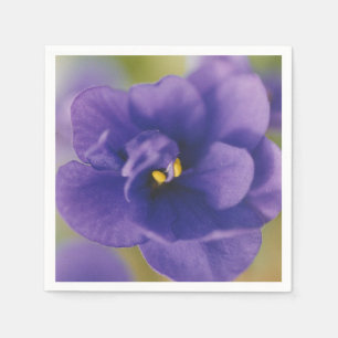 Blauwbloeiende bloem van Violet Saintpaulia Zoomed Servet
