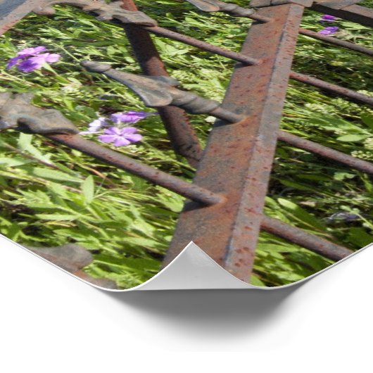 Blauwbonen en filmpjes rond het kerkhof poster (Hoek)