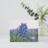 blauwbonet briefkaart (Staand voorkant)