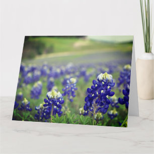 Blauwbonnaars Blauwe Bloemen Texas Texan Floral Bedankkaart