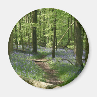 Blauwdruk bossen magneet