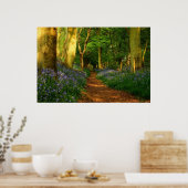 Blauwdruk Bossen Poster (Keuken)