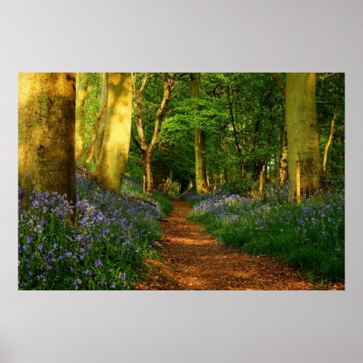 Blauwdruk Bossen Poster (Voorkant)