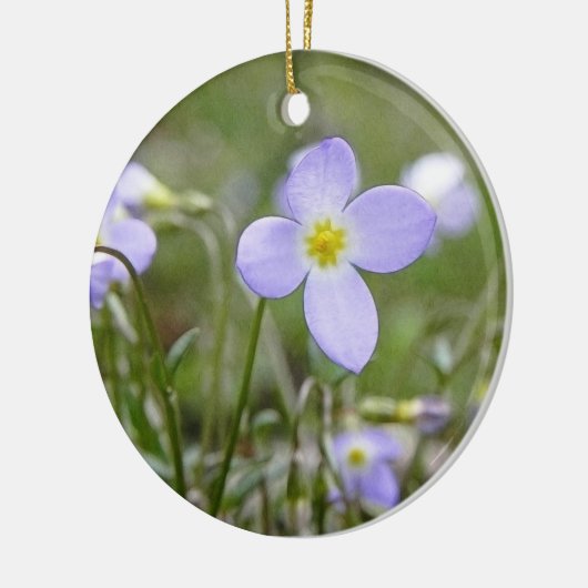 Blauwdruk - Quaker Dames Keramisch Ornament (Links)