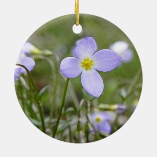 Blauwdruk - Quaker Dames Keramisch Ornament (Achterkant)