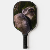 Blauwe aap, Zanzibar Pickleball Paddle (Voorkant)