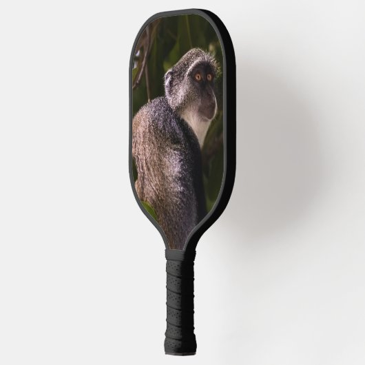 Blauwe aap, Zanzibar Pickleball Paddle (Links)