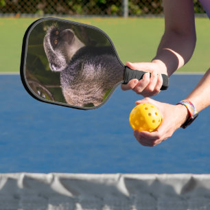 Blauwe aap, Zanzibar Pickleball Paddle