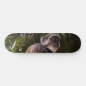 Blauwe aap, Zanzibar Skateboard (Horizontaal)