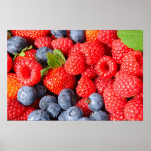 Blauwe aardbeien en frambozen poster