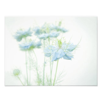 Blauwe aas groot foto afdruk