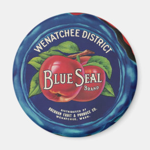 Blauwe afdichting appels magneet