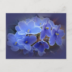 Blauwe Afrikaanse Violet Briefkaart