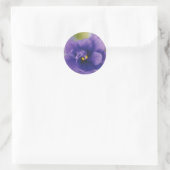 Blauwe Afrikaanse Violet Saintpaulia Ronde Sticker (Tas)