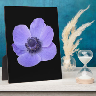 Blauwe Anemoon Plaquette Fotoplaat