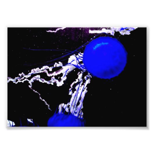 Blauwe Angels Foto Afdruk (Voorkant)